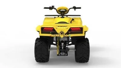 Квадроцикл IRBIS (Ирбис) ATV 250 2024 зелёный с ПСМ