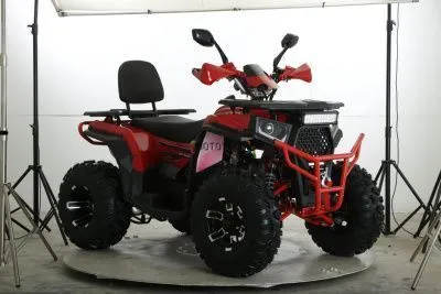 Квадроцикл FXMOTO (ФХмото) WASP 250 зелёный (машинокомплект)