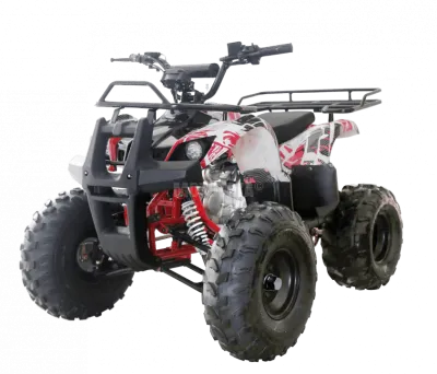 Квадроцикл детский WELS (Велс) ATV Thunder 125 (машинокомплект)