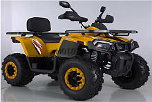 Квадроцикл Zuumav (Зуумав) SHARK 200 чёрный (машинокомплект)