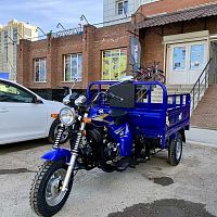 Трицикл грузовой Zip Motors (Зип Моторс) Triton 200 с ПСМ