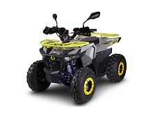 Квадроцикл детский Avantis (Авантис) Ray 8 Lux (машинокомплект)