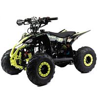 Квадроцикл детский MotoLand (Мотолэнд) VOX110 RAPTOR A (машинокомплект)