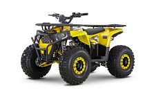 Квадроцикл детский THUNDER WELS (Велс) Trail 125 (машинокомплект)