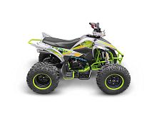 Квадроцикл Yacota (Якота) TYPHOON 250 чёрный (машинокомплект)