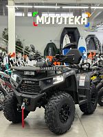 Квадрицикл Bizon (Бизон) YK250 LUX EFI серый с ПТС