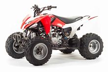 Квадроцикл MotoLand (Мотолэнд) VOX250S (машинокомплект)